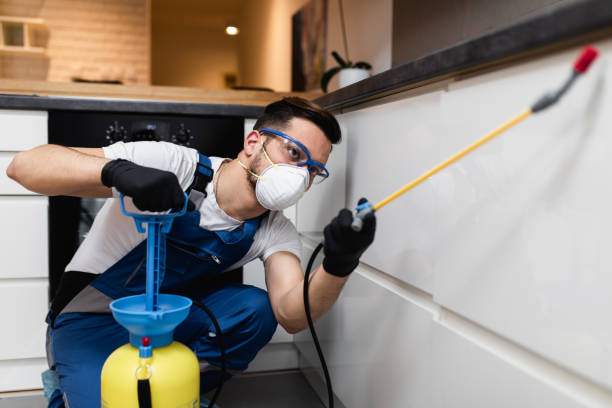 Best Exterminator Services  in Dermott, AR