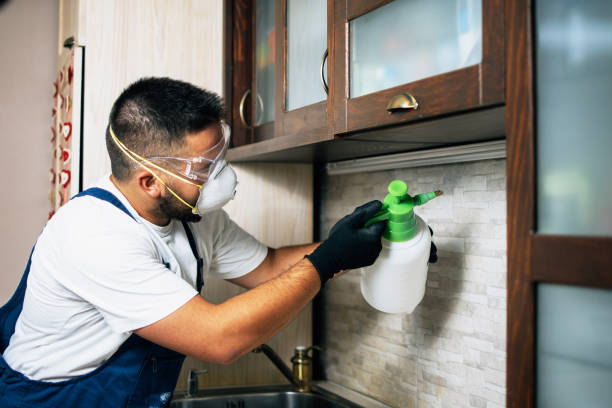 Best Residential Pest Control  in Dermott, AR