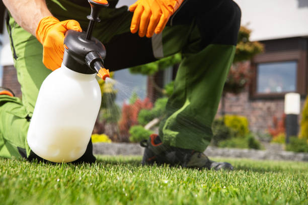 Wildlife Control Services in Dermott, AR