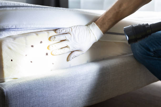 Best Pest Control for Businesses  in Dermott, AR