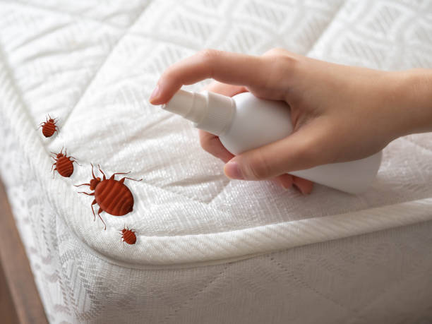 Best Cockroach Control Services  in Dermott, AR