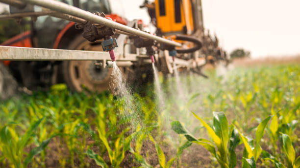 Best Pest Inspection Near Me  in Dermott, AR